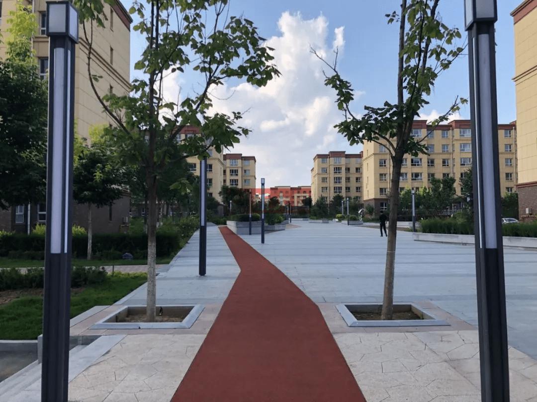社区街道